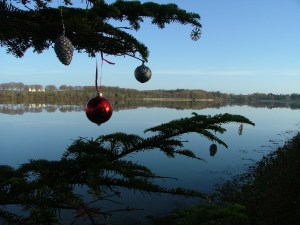 Nice Christmas surprise on a frosty morning.